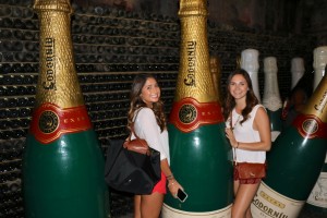 Giant Cava Bottles!   